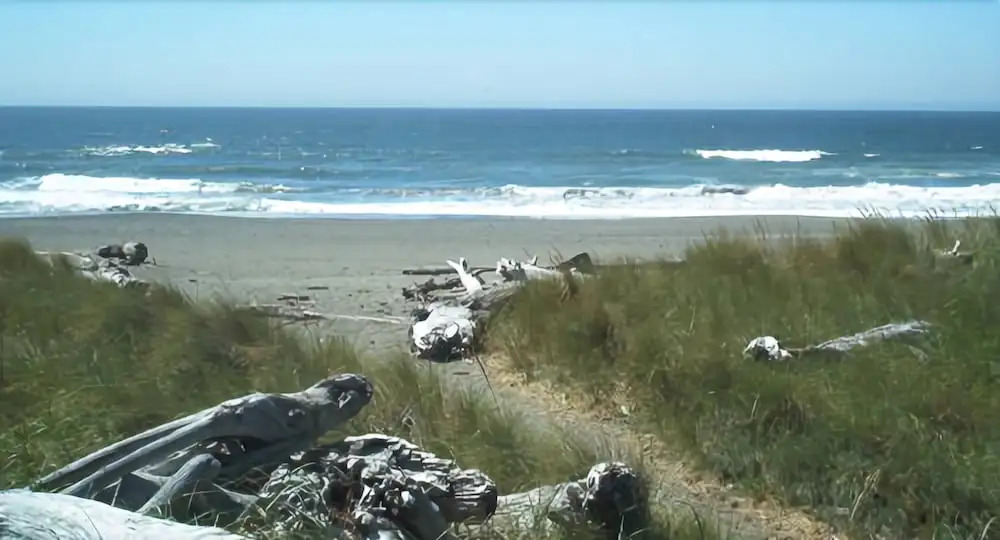 BeachCombers Inn
