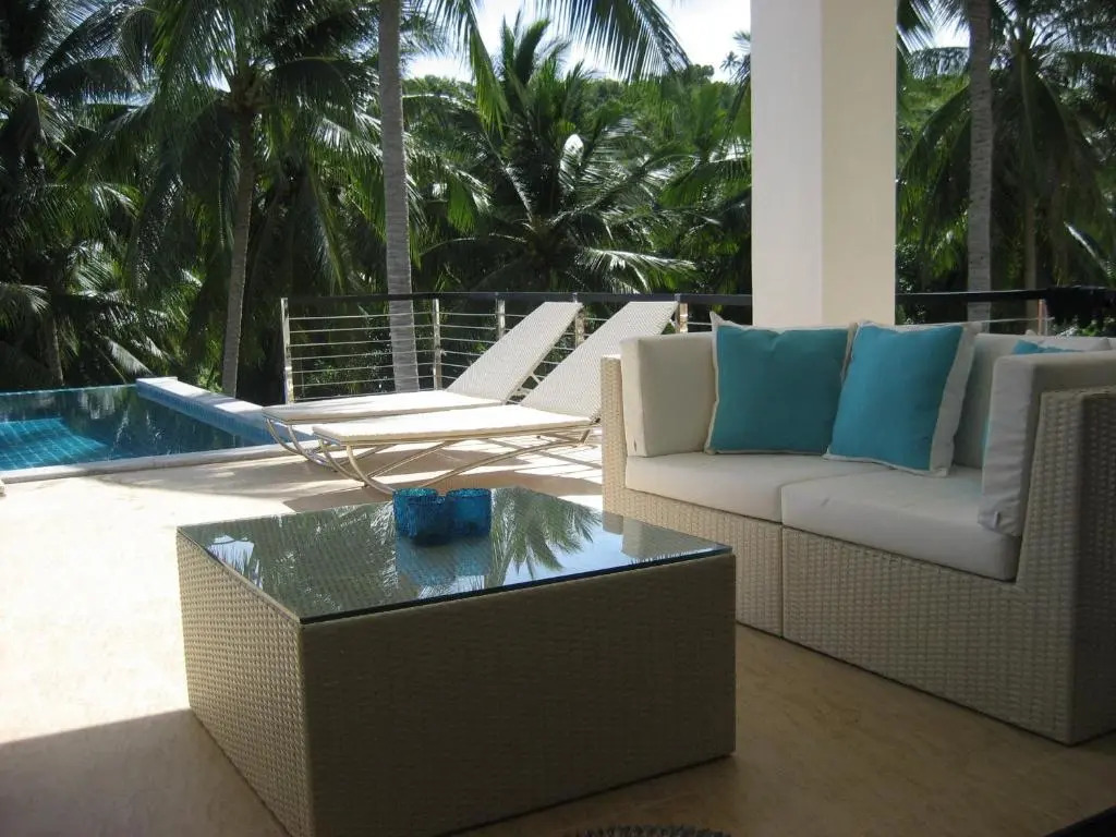 Wild Palms