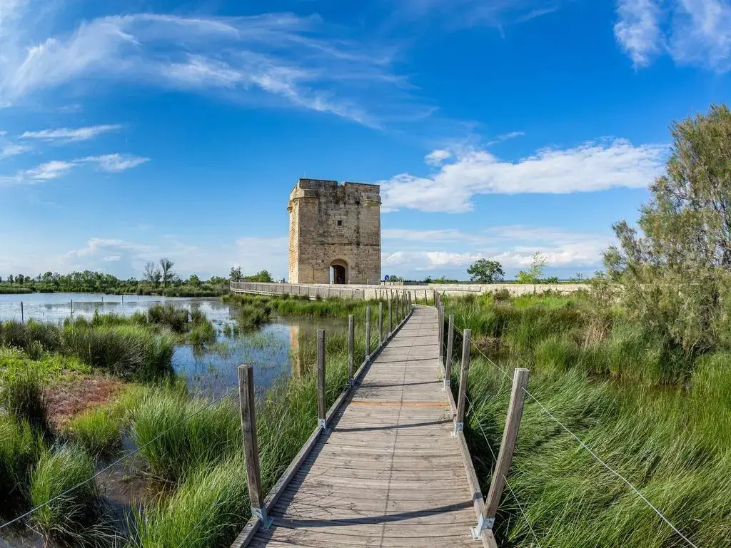 Artemia Aigues-Mortes - Hôtel avec piscine - Bornes électriques - Parking privé - Local vélo-moto