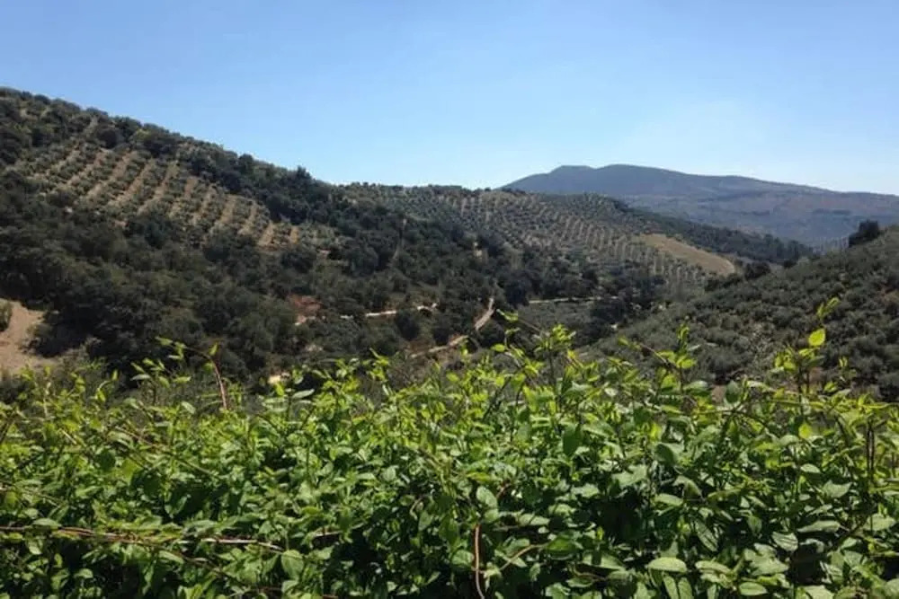 House With 6 Bedrooms in Montefrio, With Pool Access and Wifi