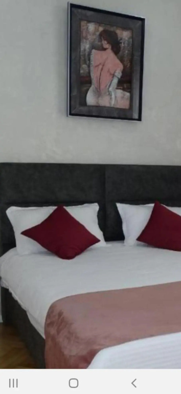 Water Lily Apartment Studio 2 cu parcare gratuita
