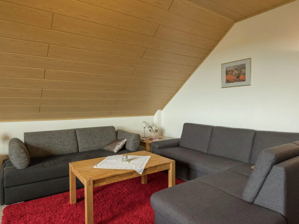 Apartment in Bad Grund Near Harz Park