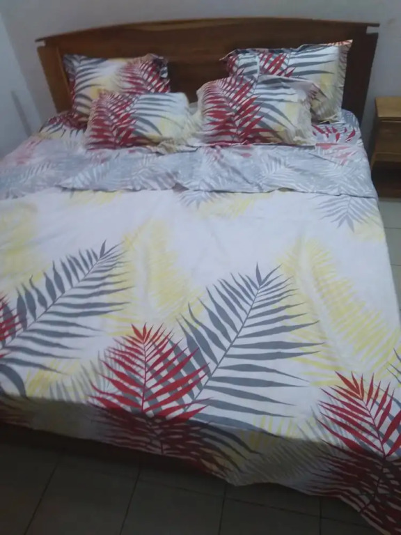 The Furnished Residences of Fasso Kanu -villa