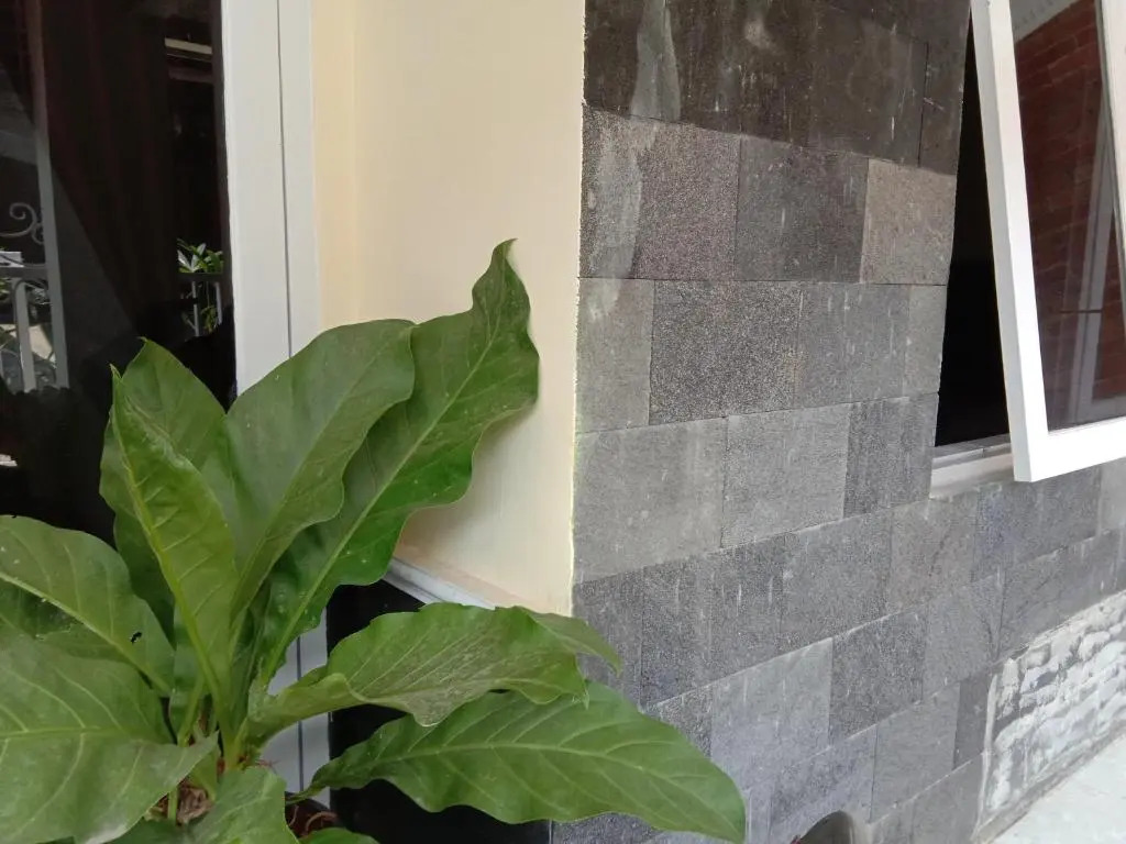 Saffa Guesthouse 27