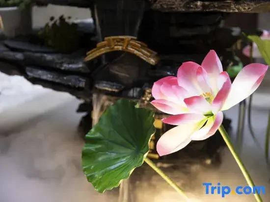 Cloud Villa | Scenic Designer Hotel by Ancient Wall (Huayan Temple, Datong)