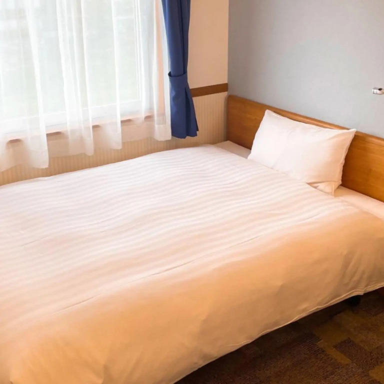 Toyoko Inn Mito-eki Minami-guchi