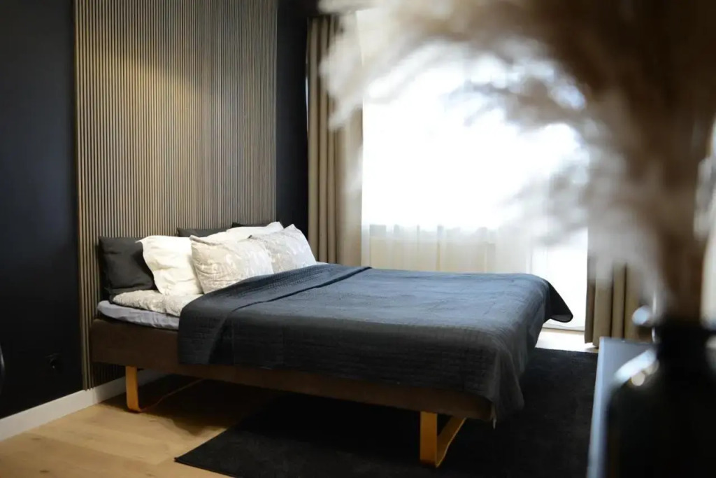 Apartamentai S.Nėries 14 Alanga