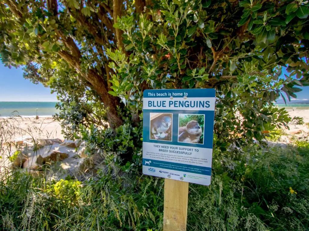 Tidal Treasure - Collingwood Holiday Home