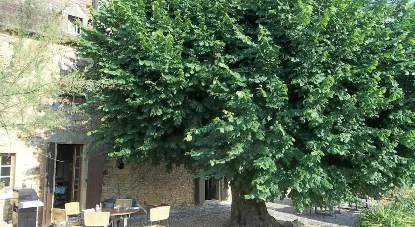 Domaine de la Mothe