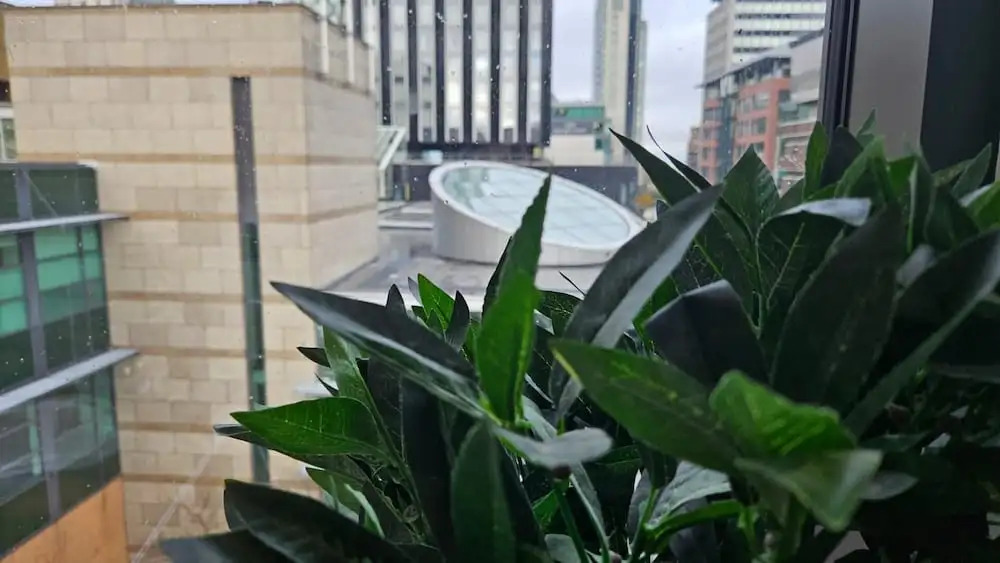 Lovely 2-bed Apartment in Liverpool