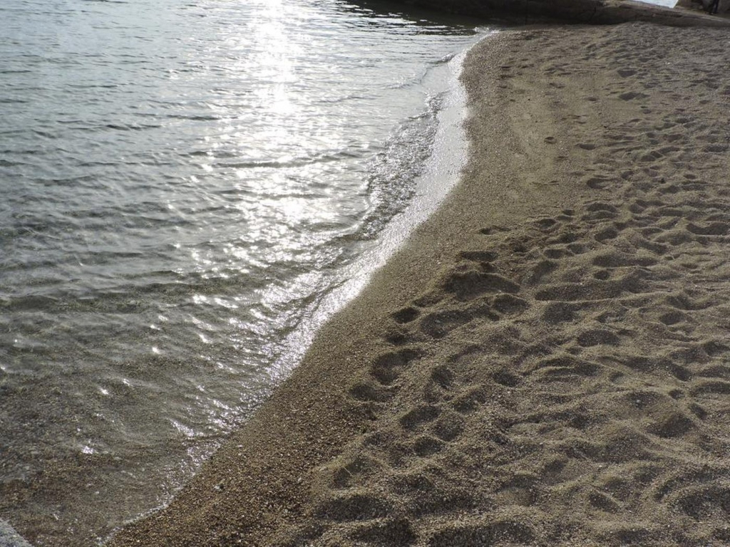 Holiday house Pet - 20m from the sea: Barbat, Island Rab