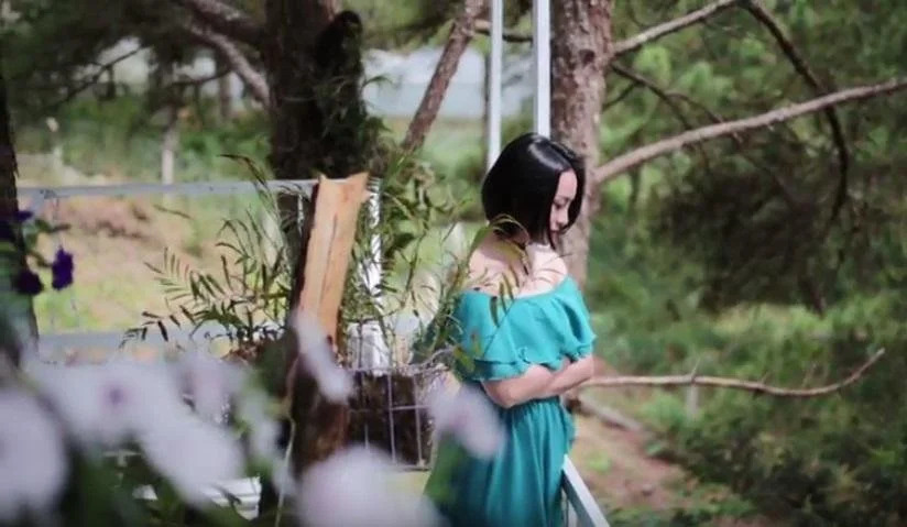 Pine Hill Homestay Dalat