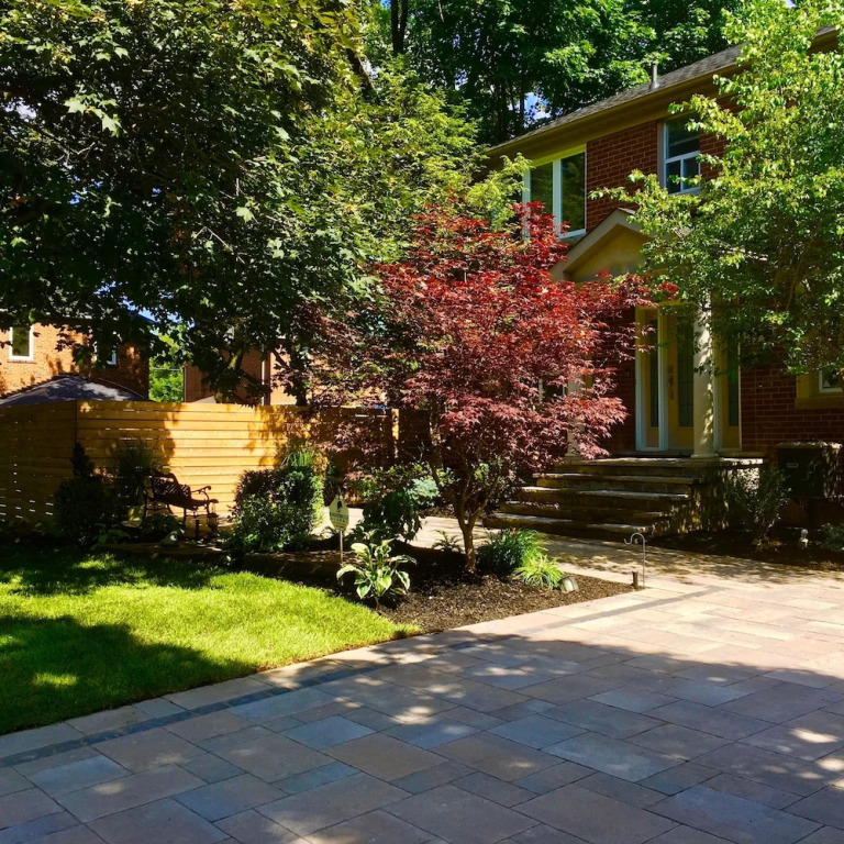 Oasis in Midtown Toronto