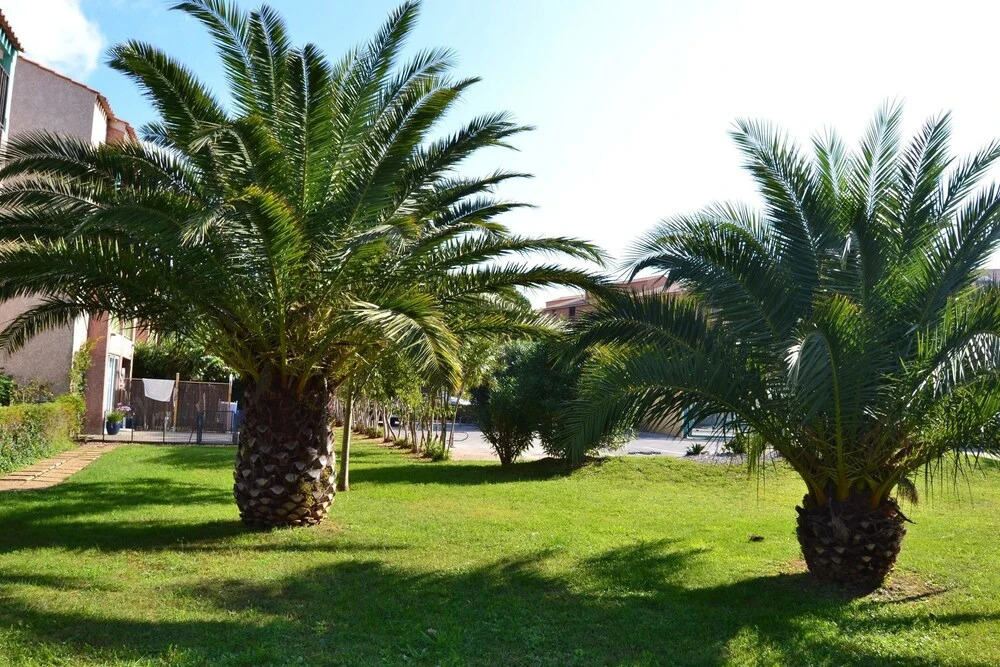Apartment With 2 Bedrooms in La Londe-les-maures, With Enclosed Garden
