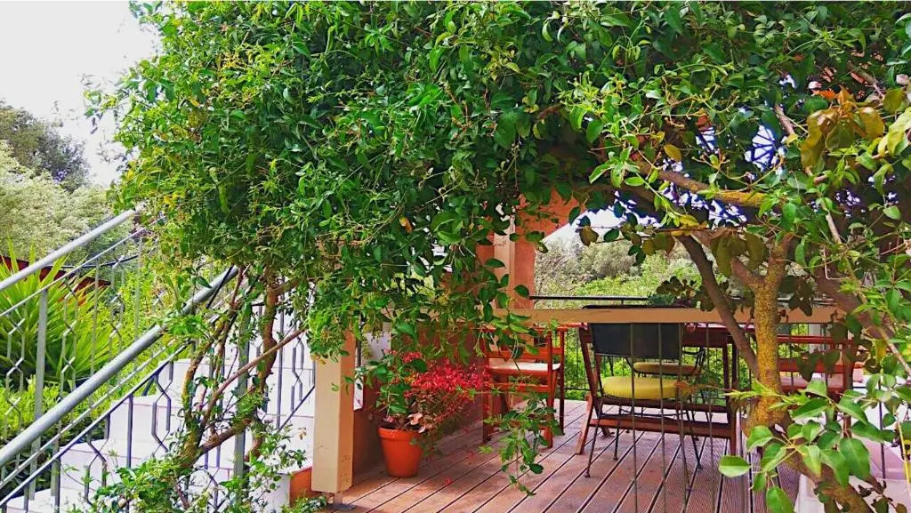 Kefalonia apartments - 2 bedroom apartment in orchard, cute veranda, ground floor