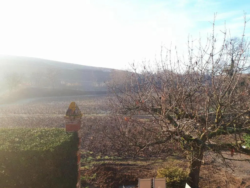 La Maison des Vignes - Convivialité détente et art de vivre au cœur du Beaujolais