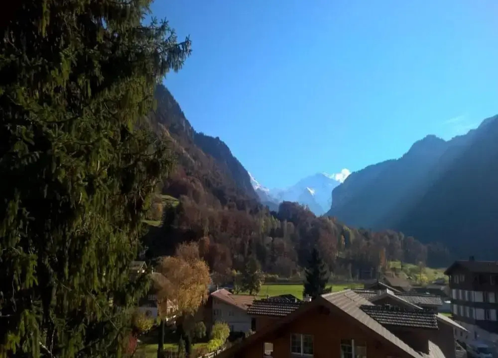 Pristine Home in a Charming Village, Large Grassy Sunbathing Area, View of the Mönch and Jungfrau
