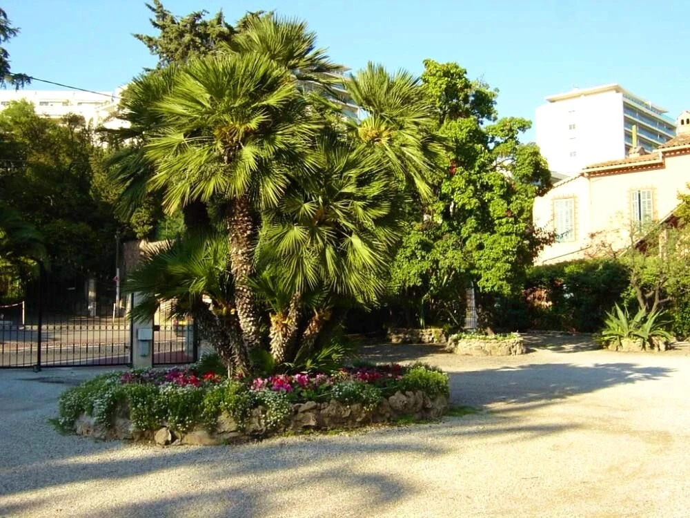 Studio in Cannes, With Wonderful sea View, Enclosed Garden and Wifi -