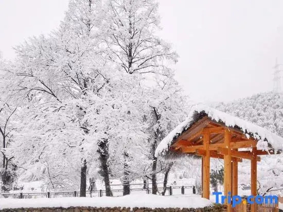 Anji Qijianfang · Shanchuan Xiangju (Xianlongxia Drifting)