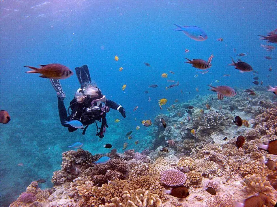 Studio 27 Orient Bay