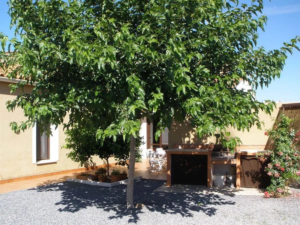 Tibula Rural