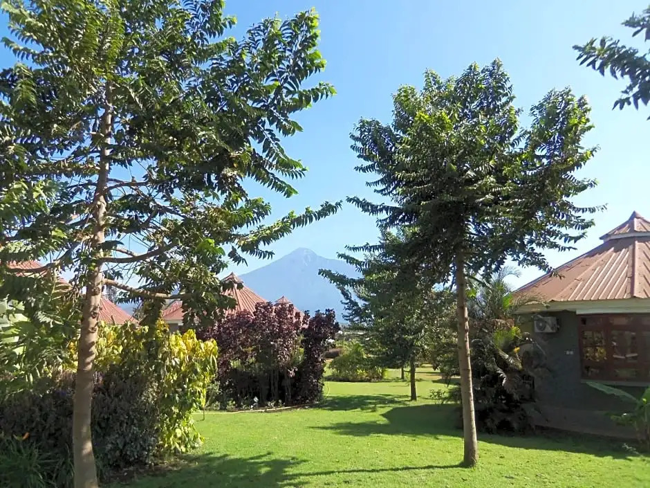 Arusha Planet Lodge