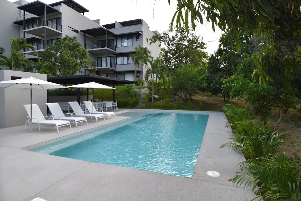 Agaves 204