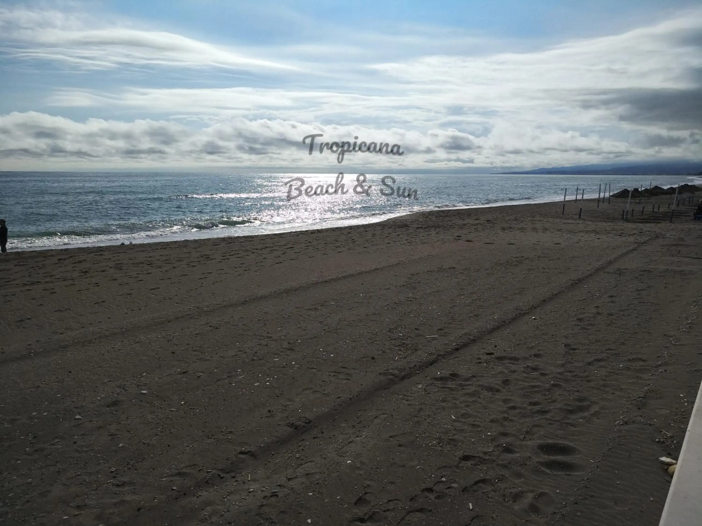 Tropicana Beach & Sun