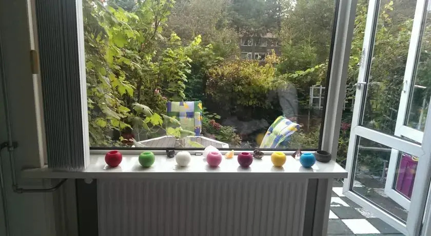 Roses Garden