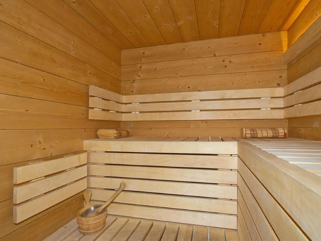 Beautiful 14-person chalet with sauna and private swimming pool in Les Deux Alpes