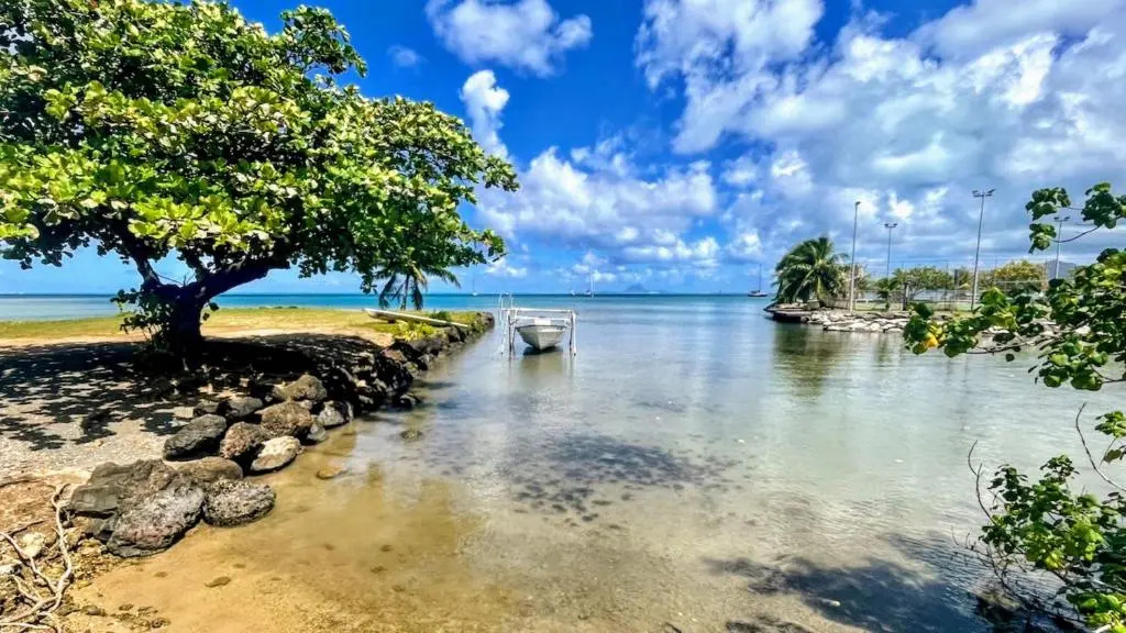 Raiatea - Nautilus Bungalow Pool