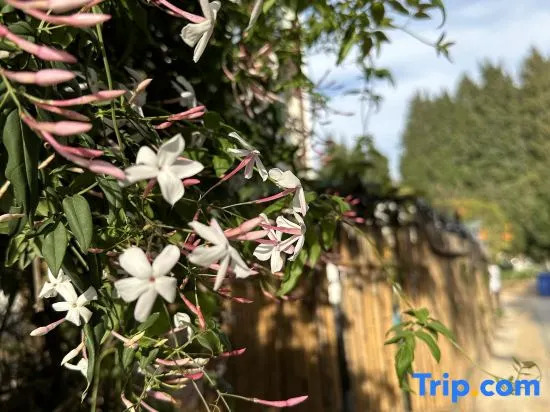 Yihuaxuanting Homestay (Kunming Dianchi Haitang Dam)
