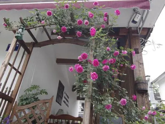 Jiuyueji Guesthouse