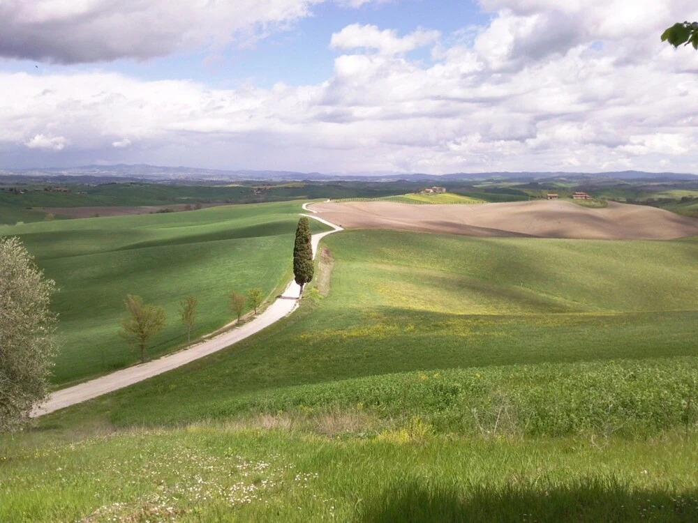 Mansion With 10 Bedrooms in Monteroni D'arbia, With Wonderful City Vie