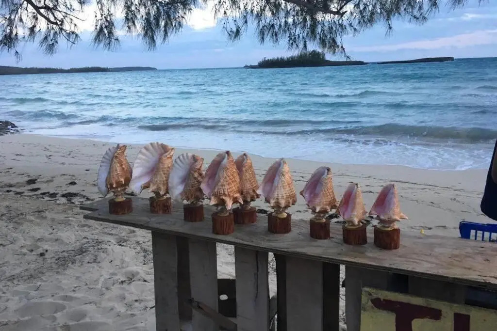 My Bahama Jewel