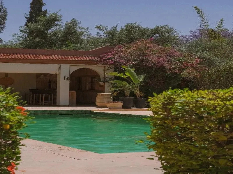 Bab Akoul Palmeraie - Maison dhôtes & Spa