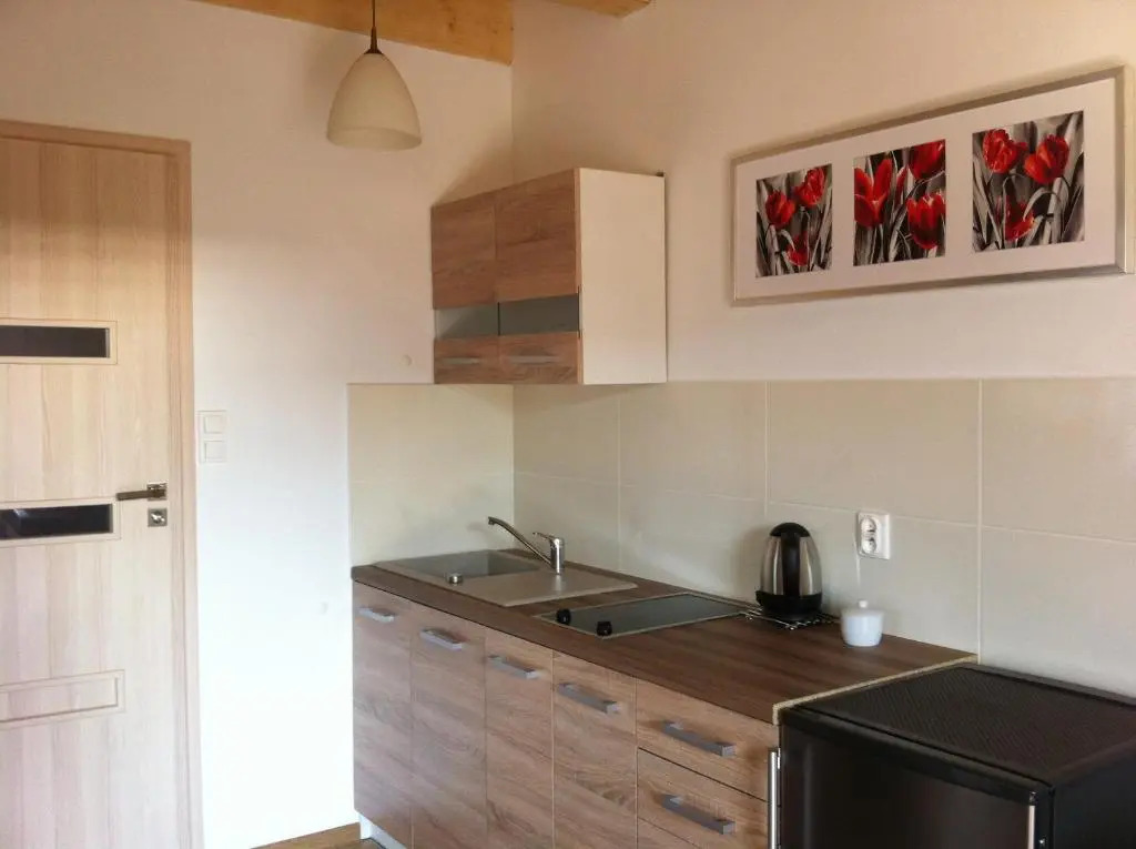 Domki letniskowe,apartamenty Wczasowa 8a