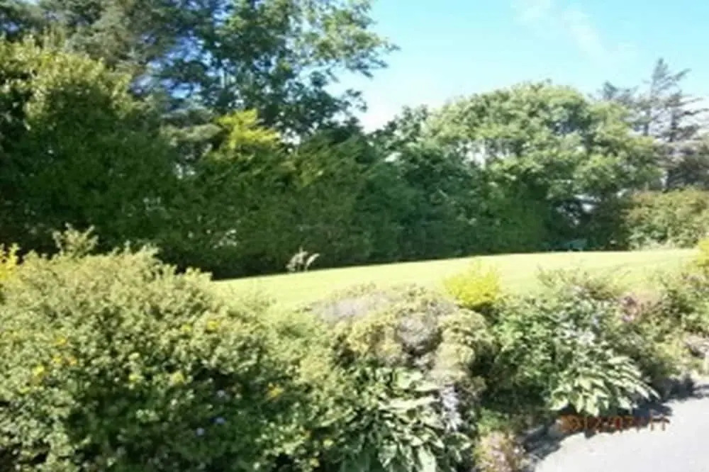 Gowlaun