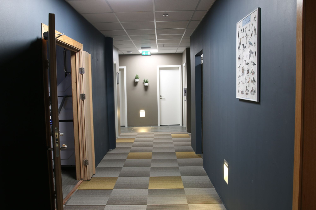 Hafnarstræti Hostel