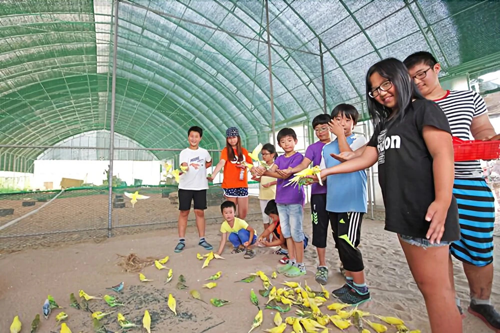 Jebudo Animal Café and Pension