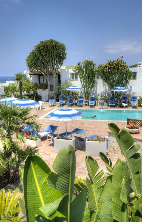 Room in B&B - Ischia Forio for 2, Thermal Water and Sea- Imperamare