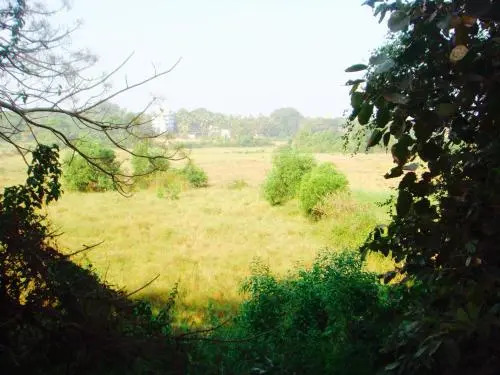 Luxurious 2BHK for Ultimate Holiday Experience in Goa, Candolim North Goa
