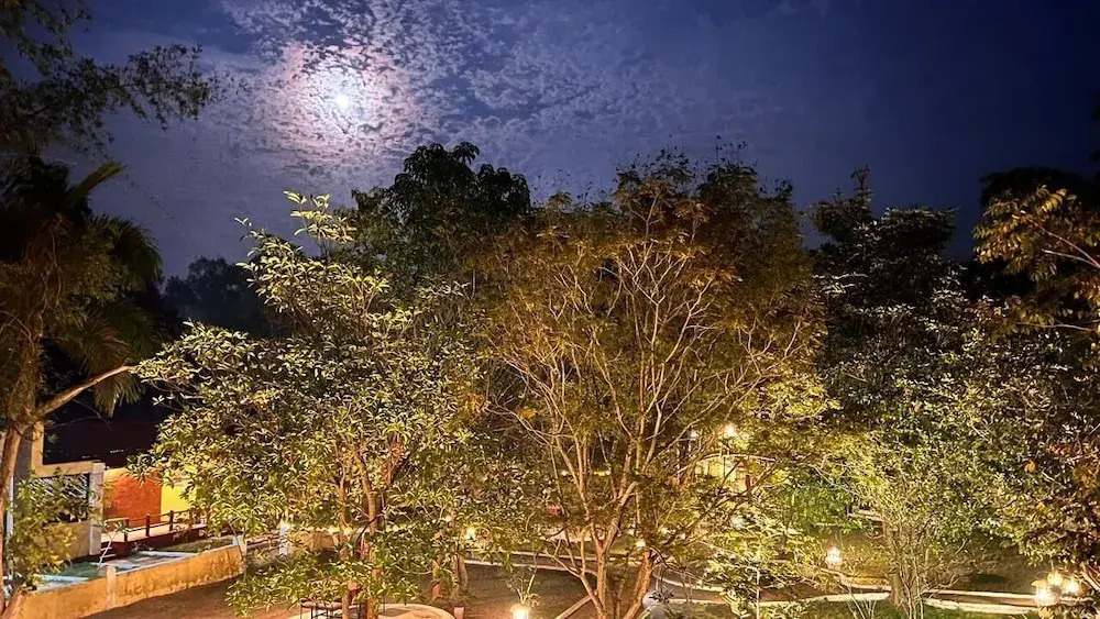 Taal Tiger Resort