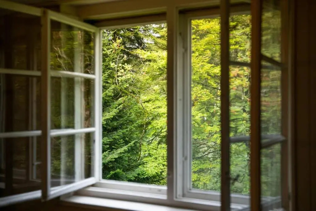 Wood Lodge