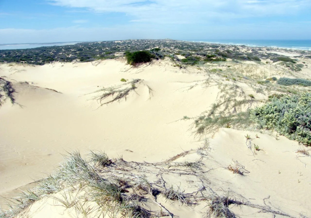Coorong Waterfront Retreat