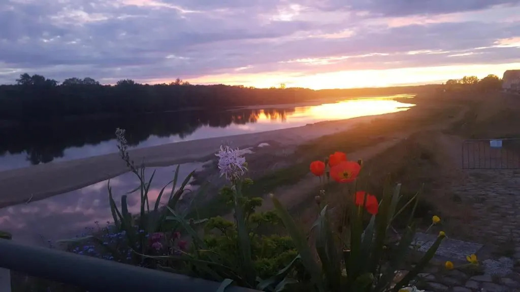 LE COSY LOIRE appart