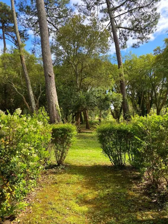 Appartement du Golf Les Bastides piscine et océan