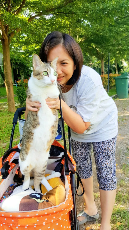 Baan Suan Him Doi