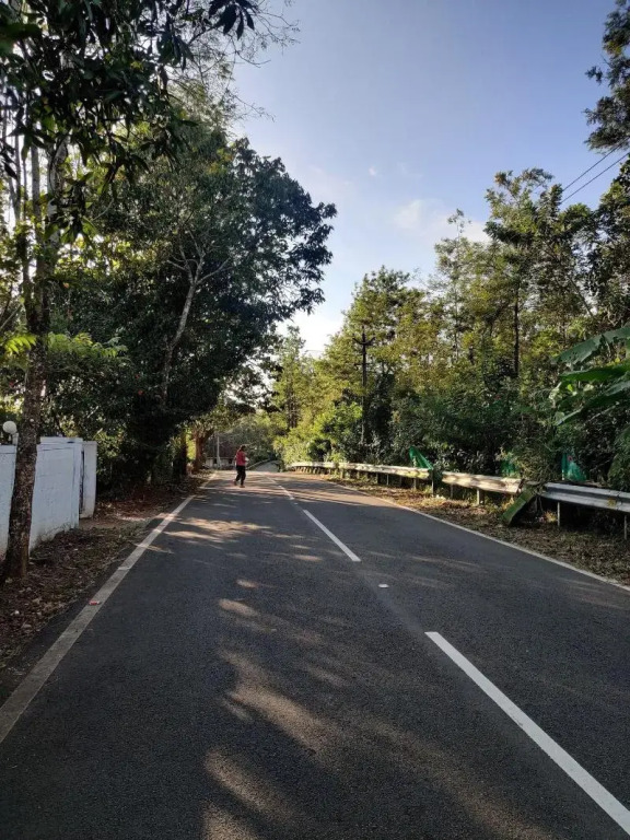 Disha plantation Resort