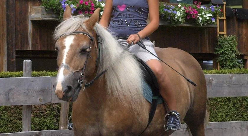 Ferienbauernhof Moosbrugger